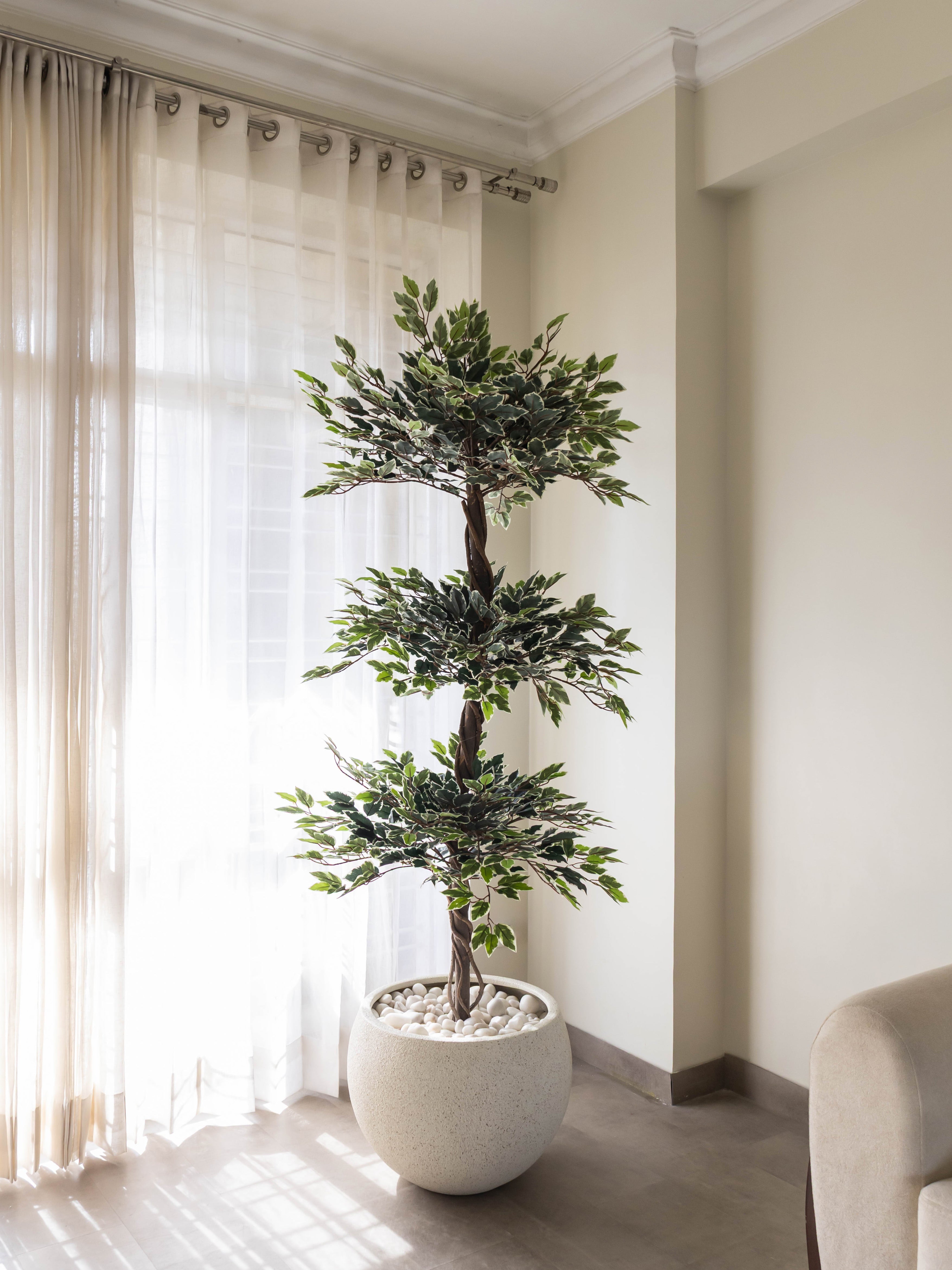 Artificial Ficus Topiary Tree 6.5ft