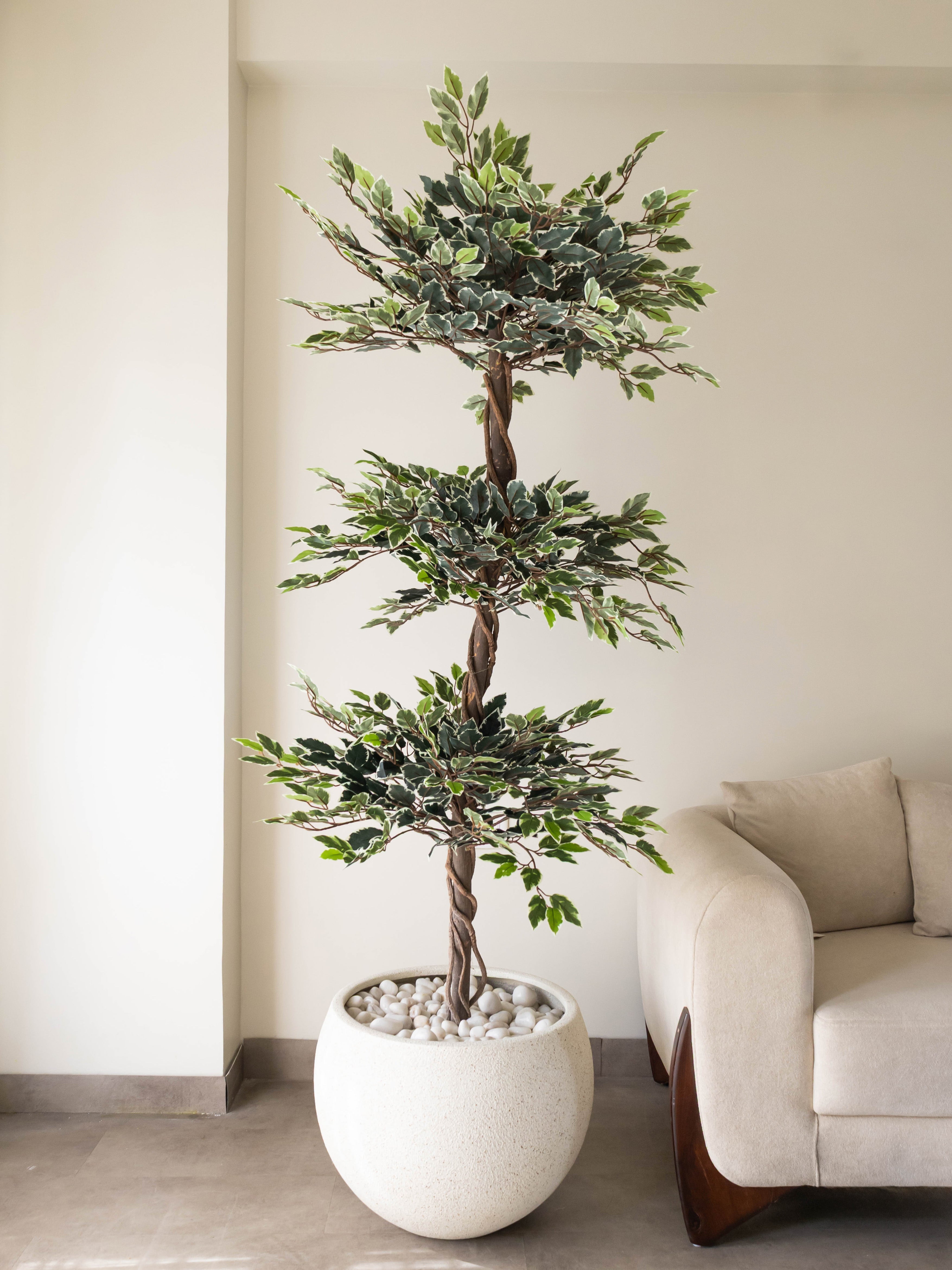 Artificial Ficus Topiary Tree 6.5ft