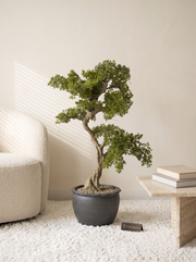 Artificial Sculpted Bonsai Tree 3.5ft