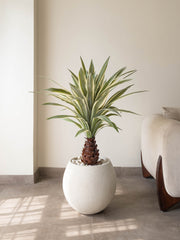 Artificial Variegated Agave Plant 3.3ft