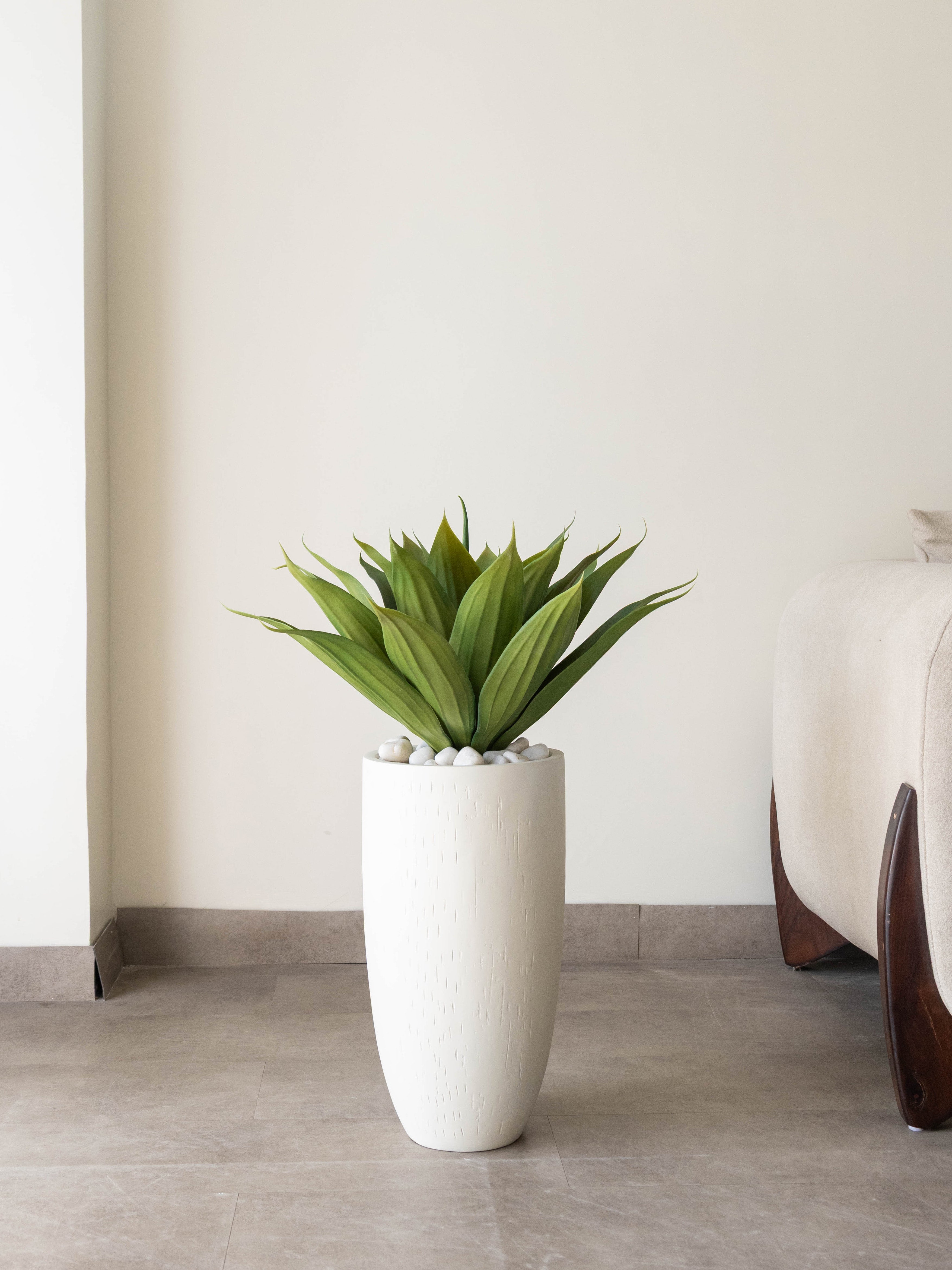 Tropical Agave Plant 2ft
