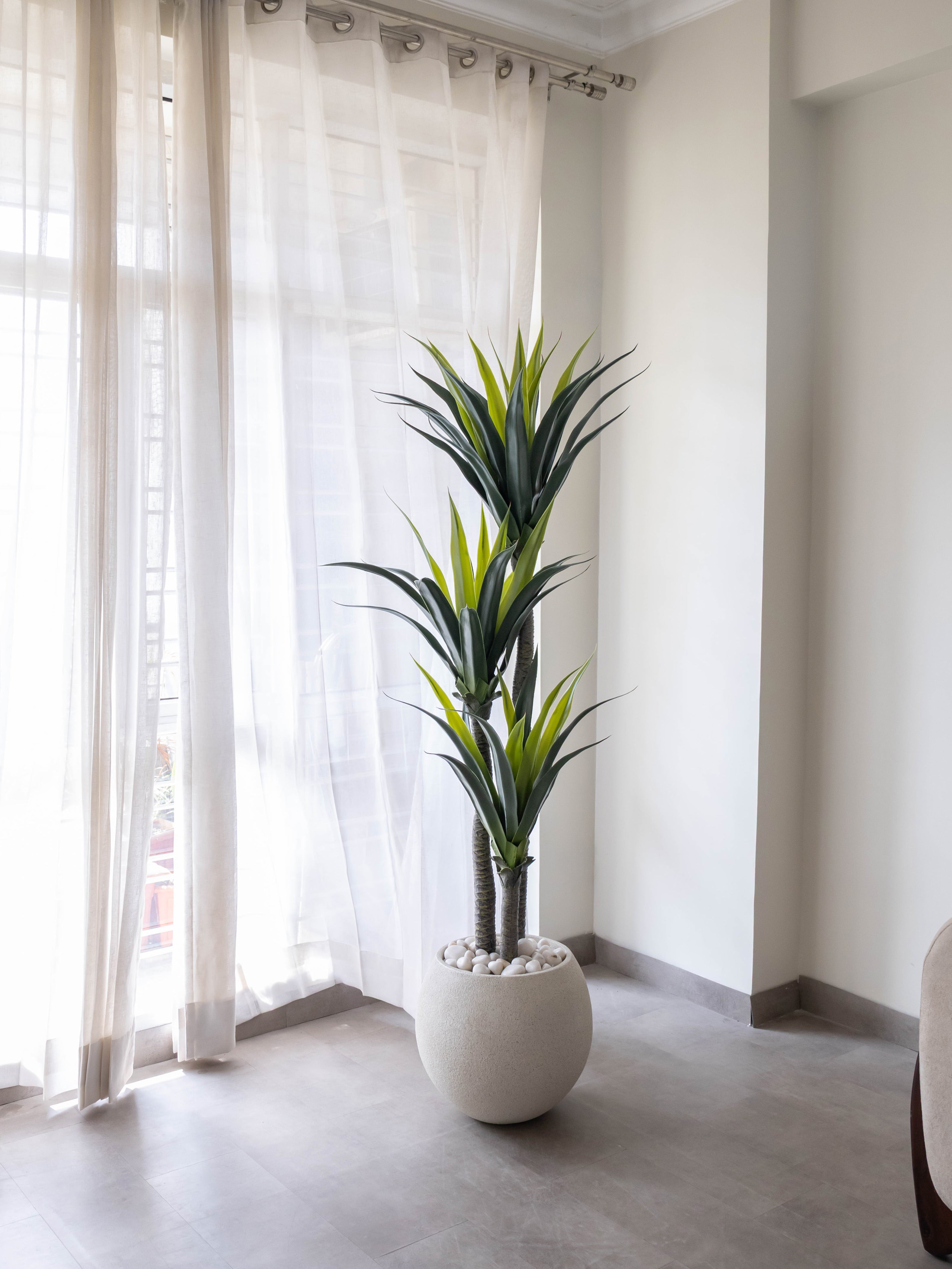 Artificial Triple Head Yucca Tree 5.7ft
