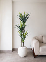 Artificial Triple Head Yucca Tree 5.7ft