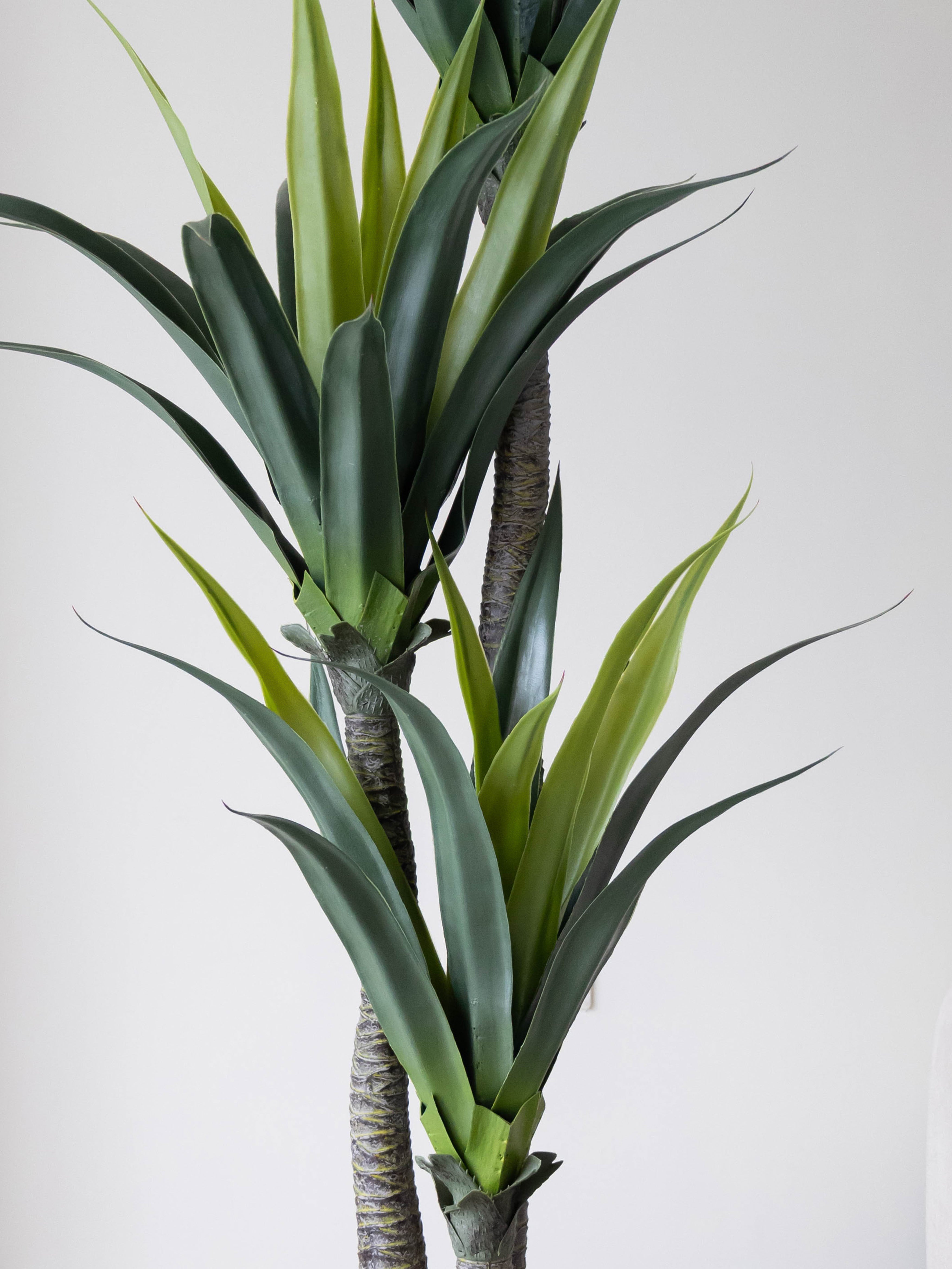 Artificial Triple Head Yucca Tree 5.7ft