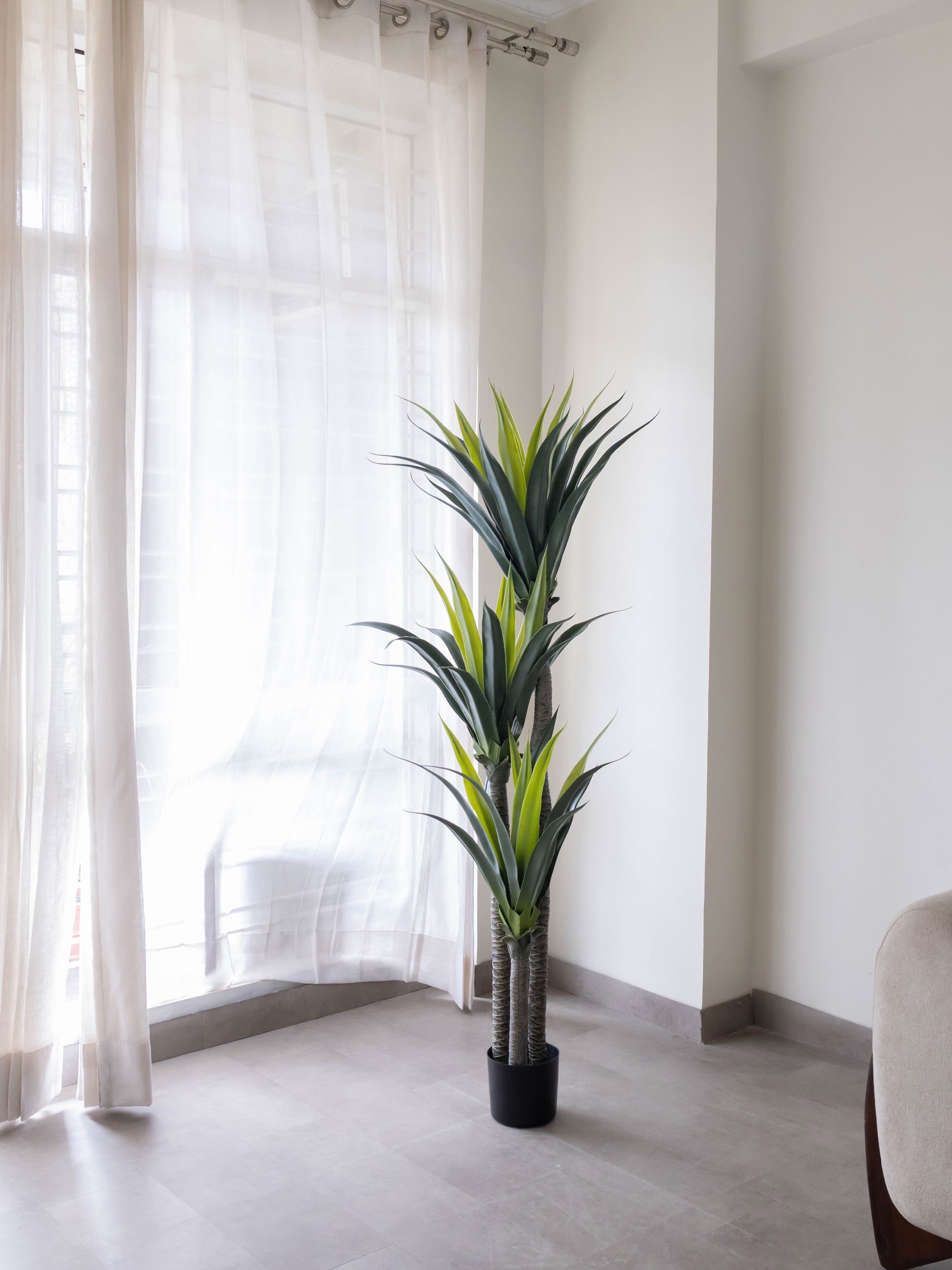 Artificial Triple Head Yucca Tree 5.7ft