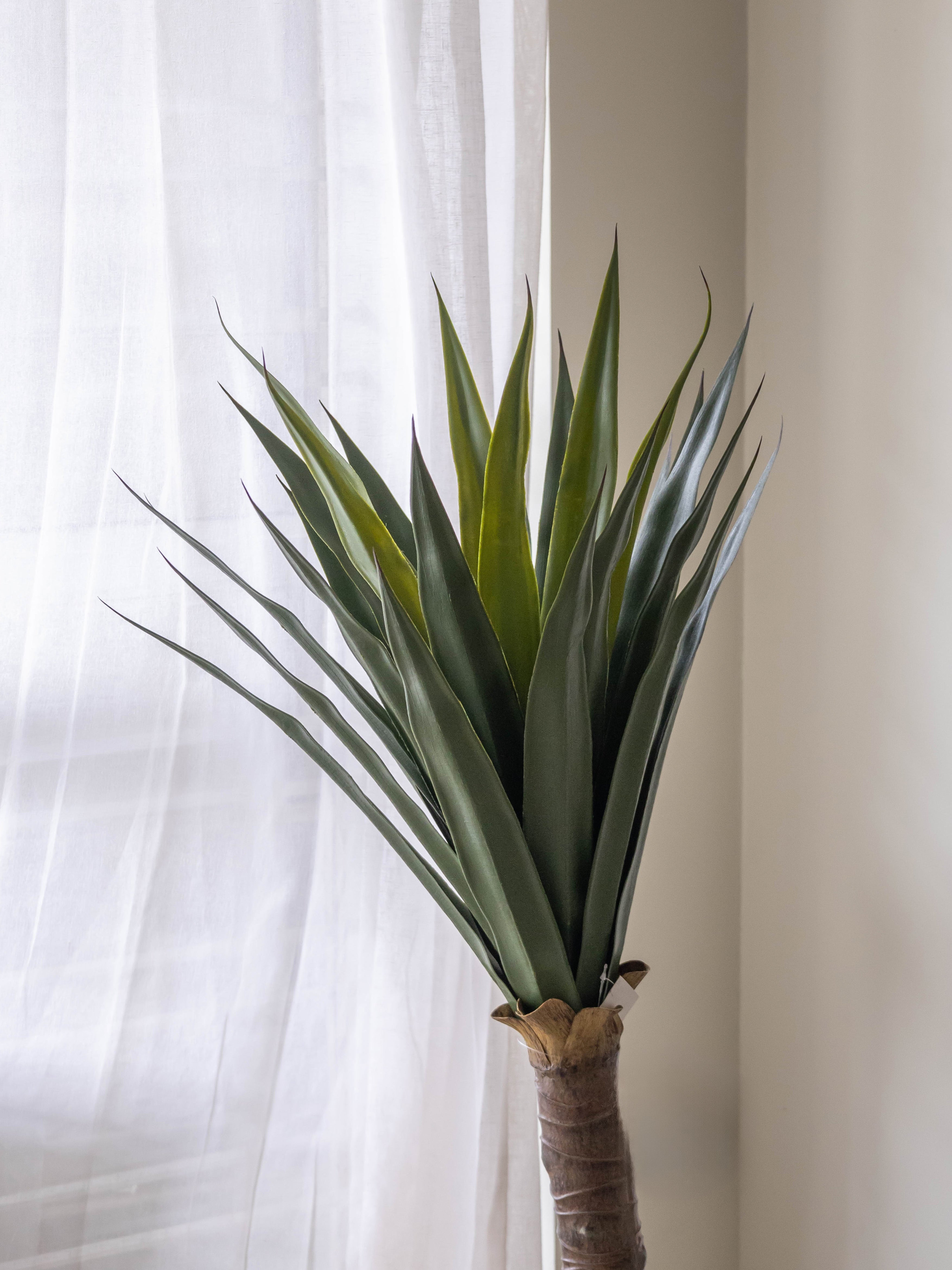 Artificial Desert Crest Yucca Plant 3.5ft