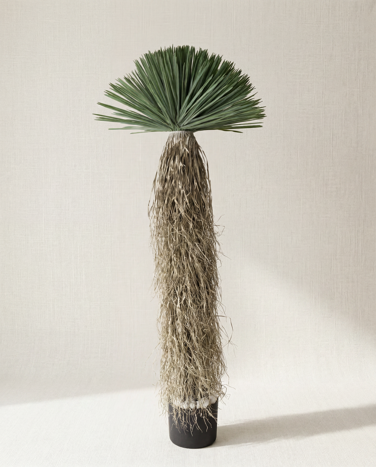 Artificial Yucca Rostrata 5ft