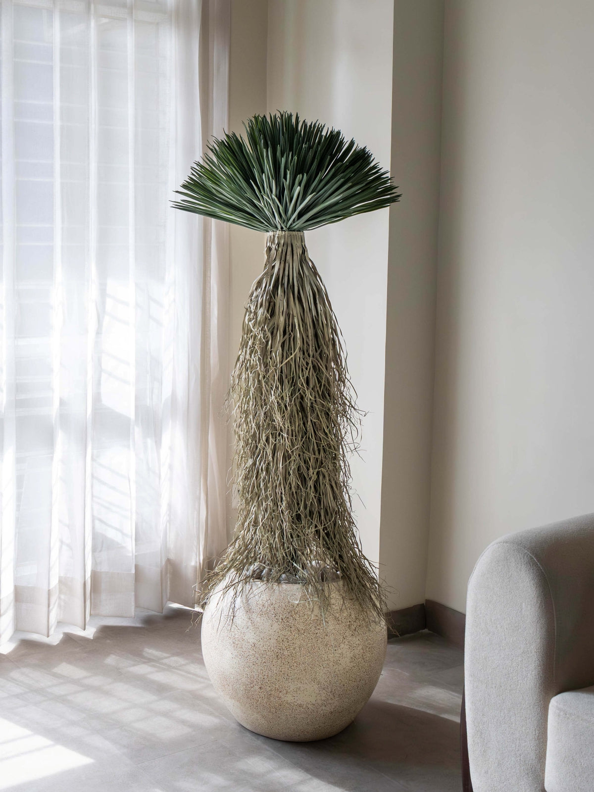 Artificial Yucca Rostrata 5ft