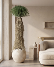 Artificial Yucca Rostrata 6ft