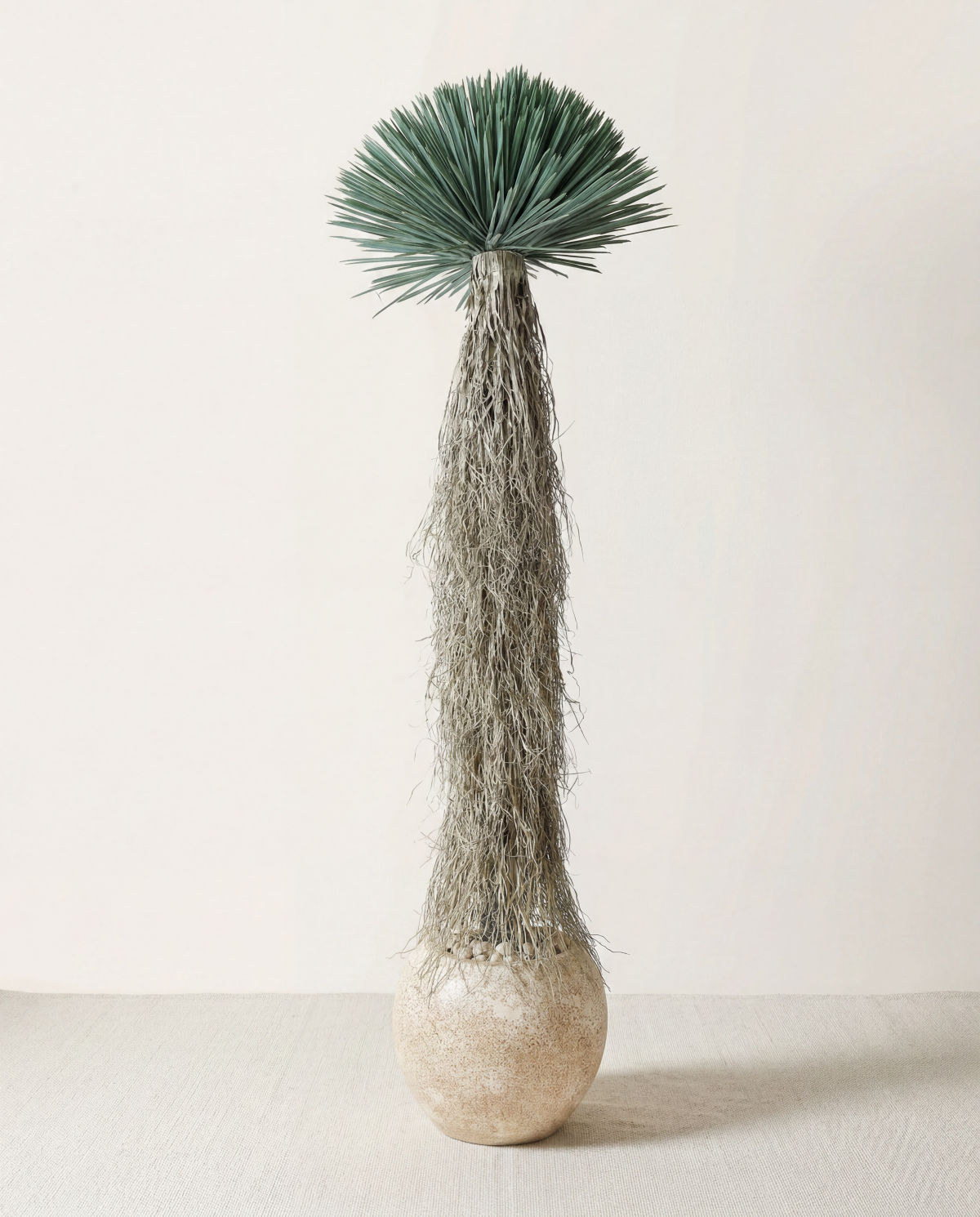 Artificial Yucca Rostrata 7ft