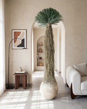 Artificial Yucca Rostrata 7ft