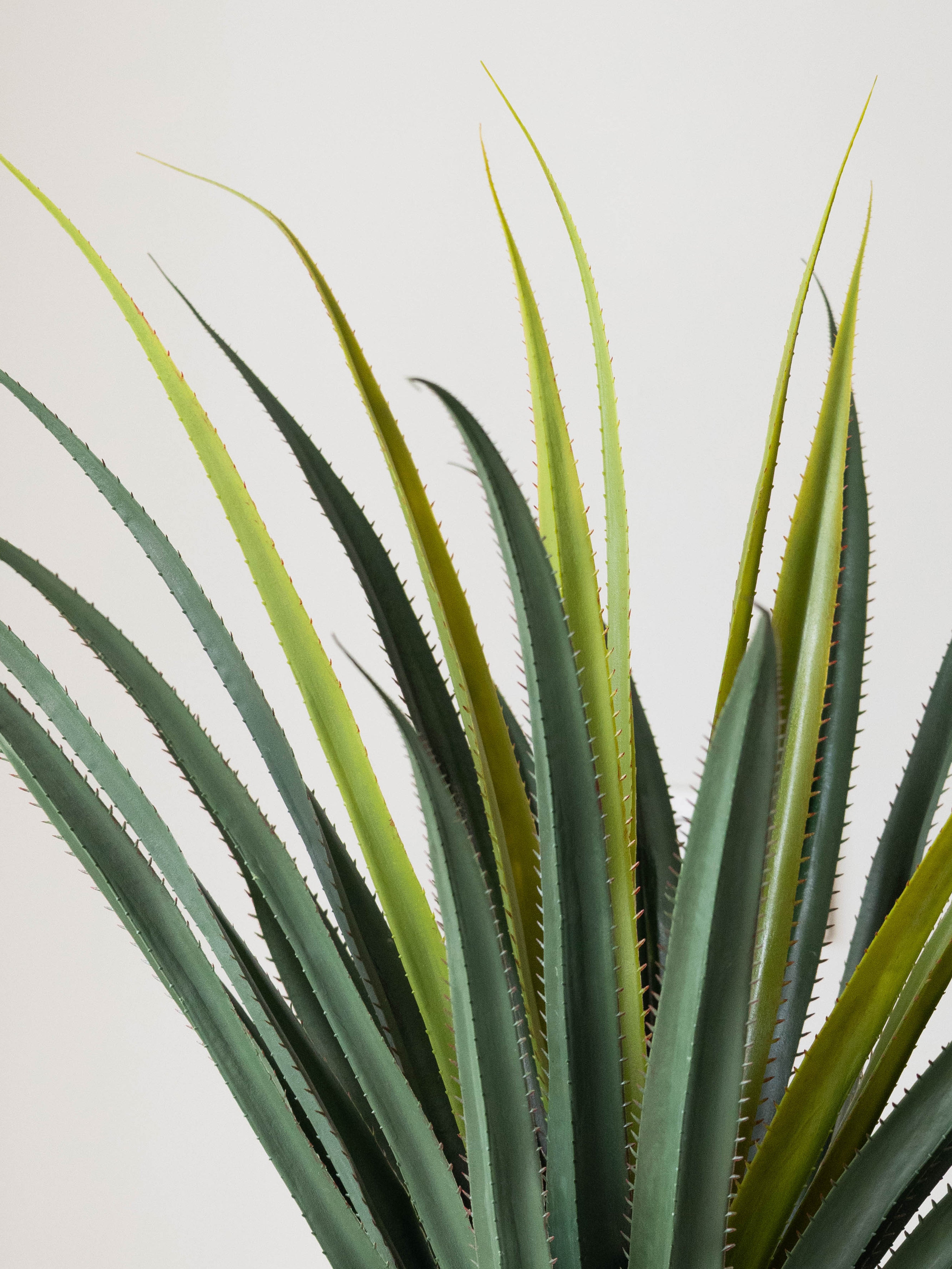 Artificial Desert Crown Plant 3ft