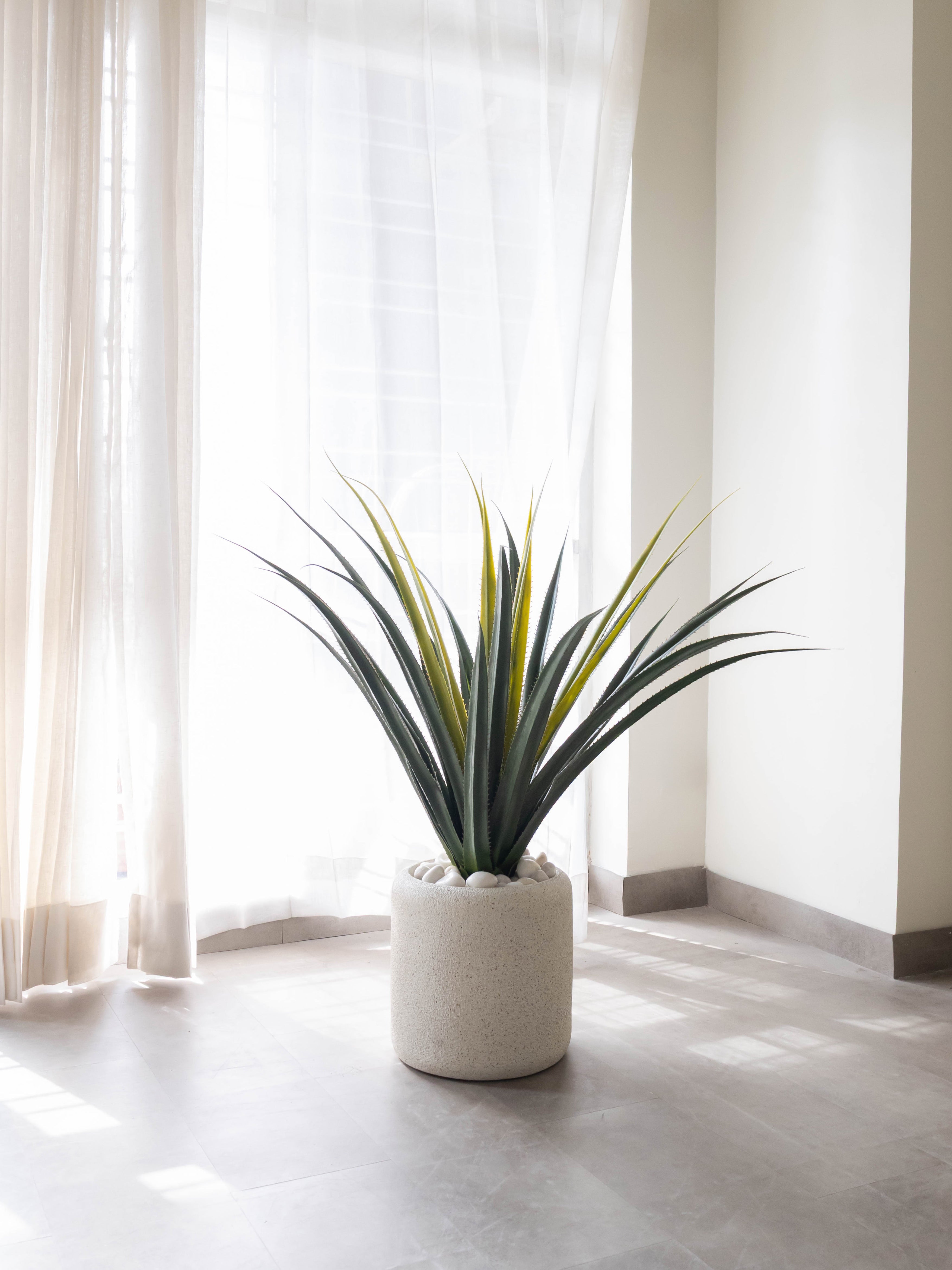 Artificial Desert Crown Plant 3ft