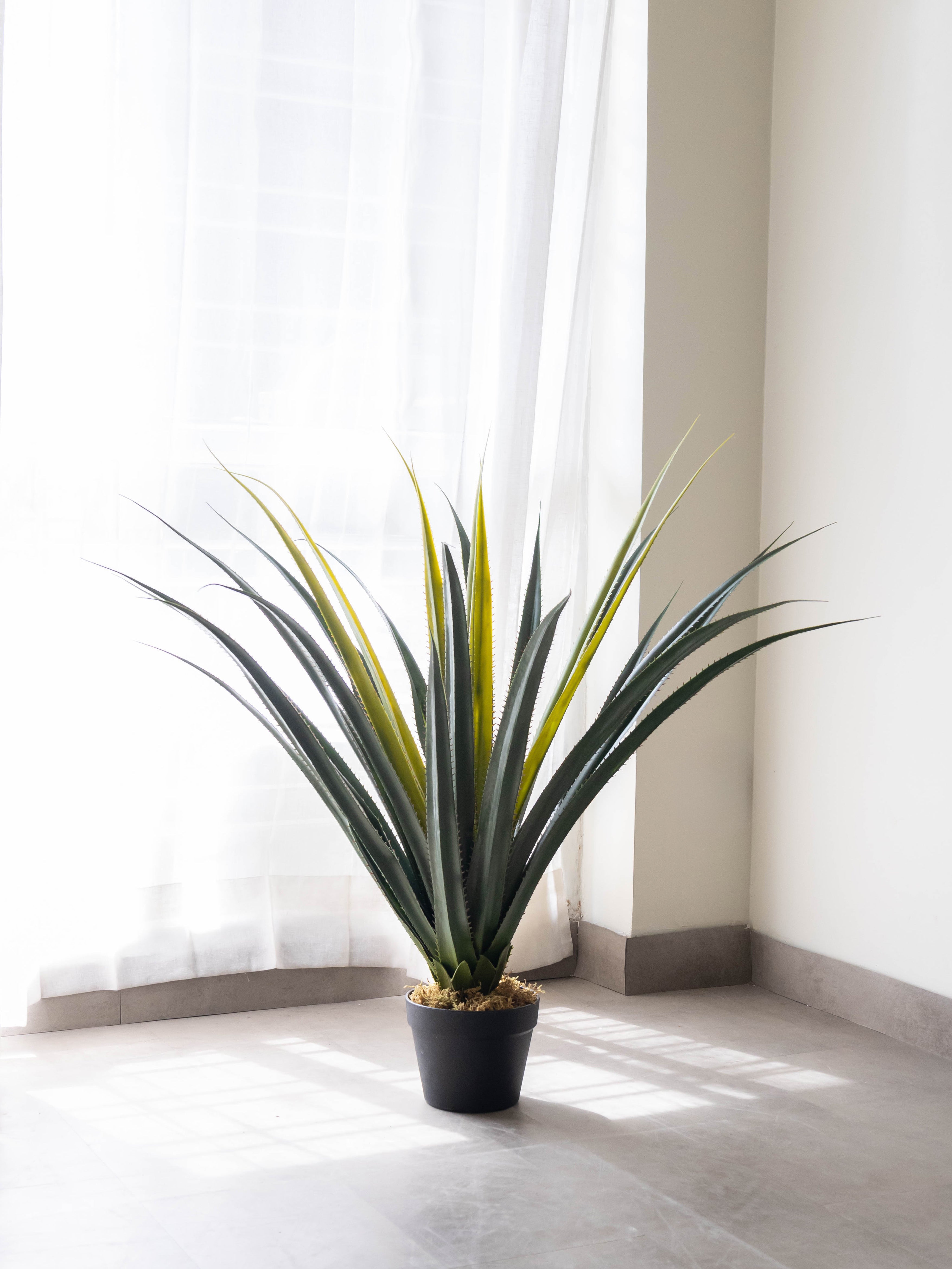 Artificial Desert Crown Plant 3ft