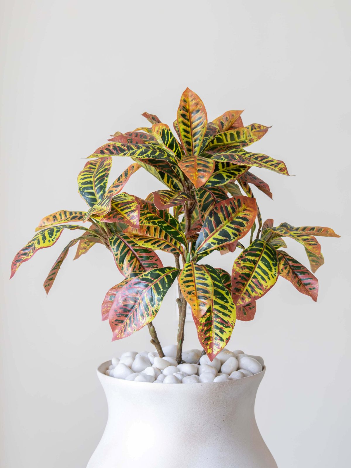 Artificial Multicolor Croton Plant 2ft