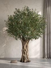 Artificial Wildwood Olive Tree 8ft