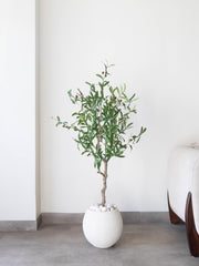 Artificial Olive Serenity Tree 4ft