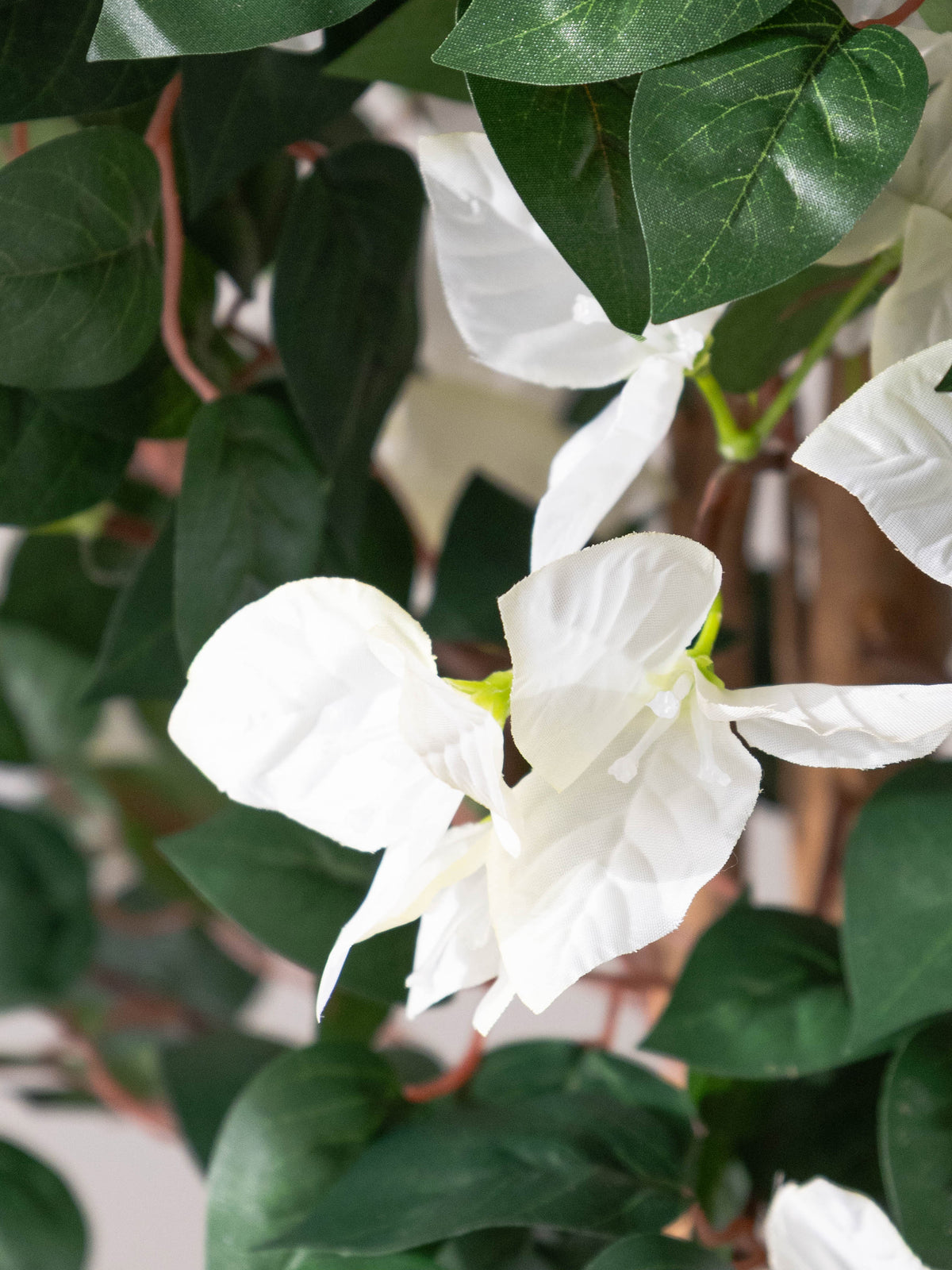 Artificial White Veil Bougainvillea Plant 5ft