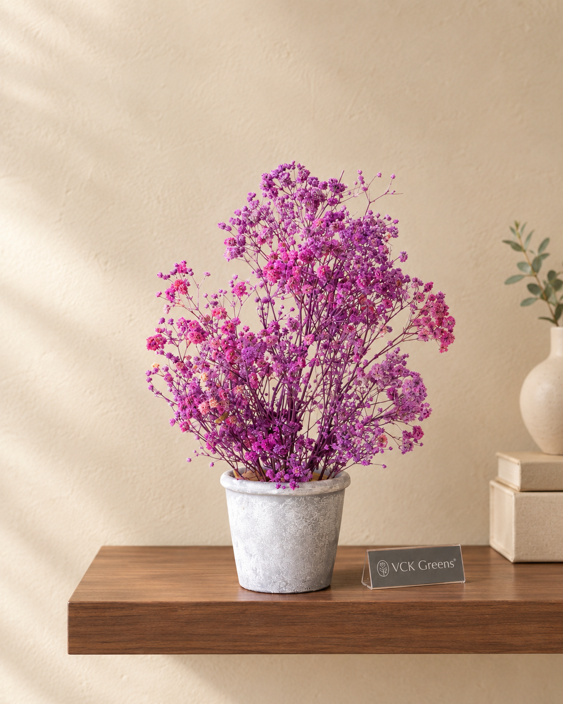 Preserved Baby’s Breath Table Top 24cm