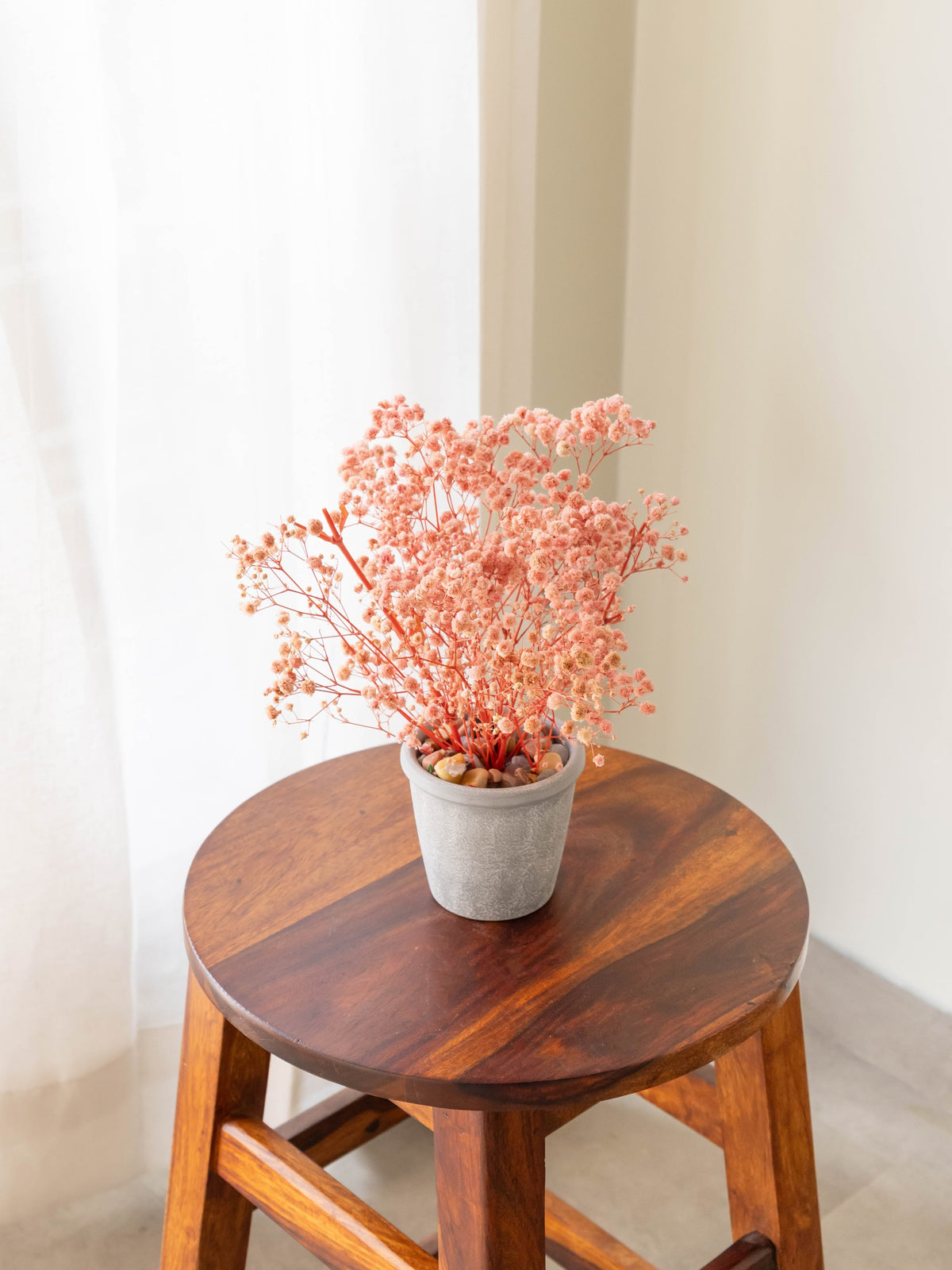 Preserved Baby’s Breath Table Top 24cm