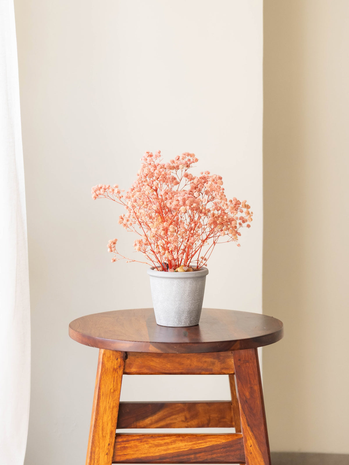 Preserved Baby’s Breath Table Top 24cm
