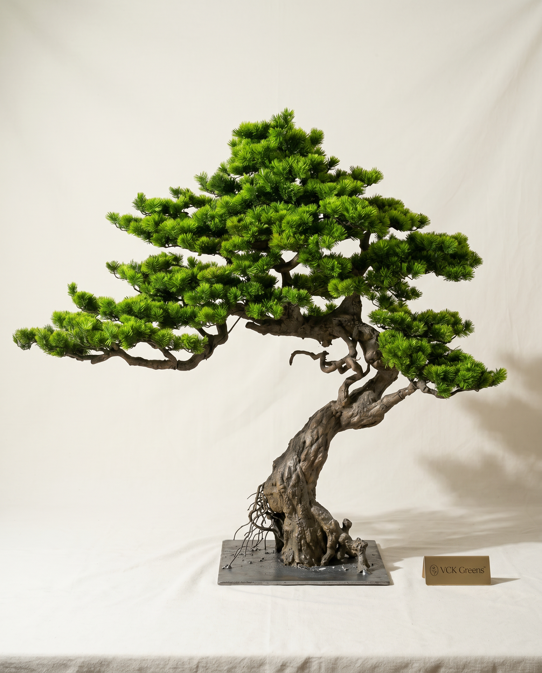 Artificial Windswept Japanese Pine Bonsai 5.3ft – VCK Greens
