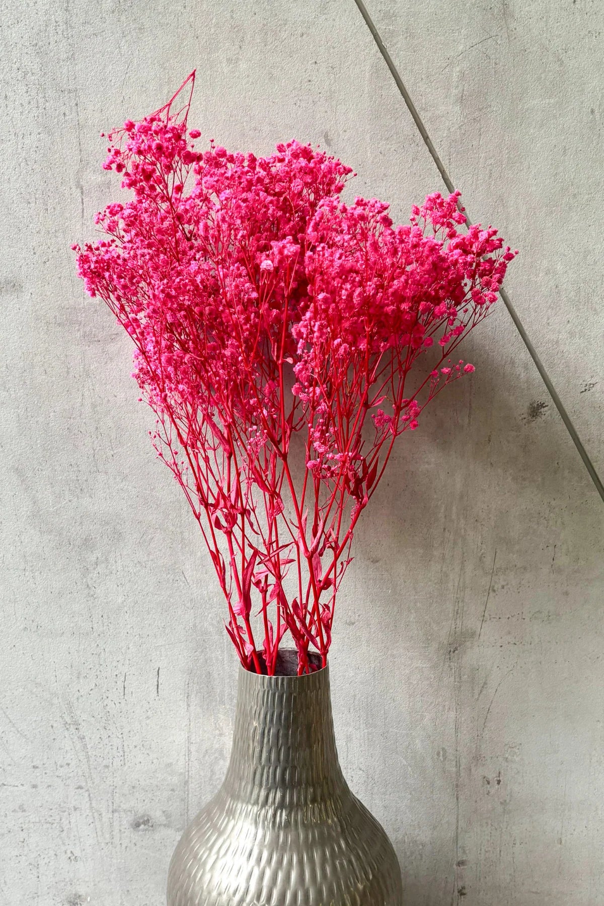 Preserved Dried Baby’s Breath Bunch