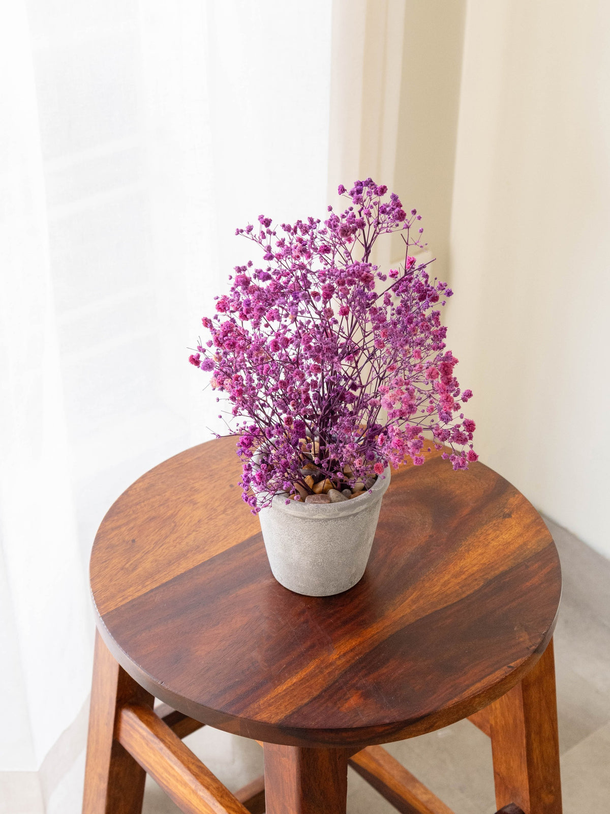 Preserved Baby’s Breath Table Top 24cm