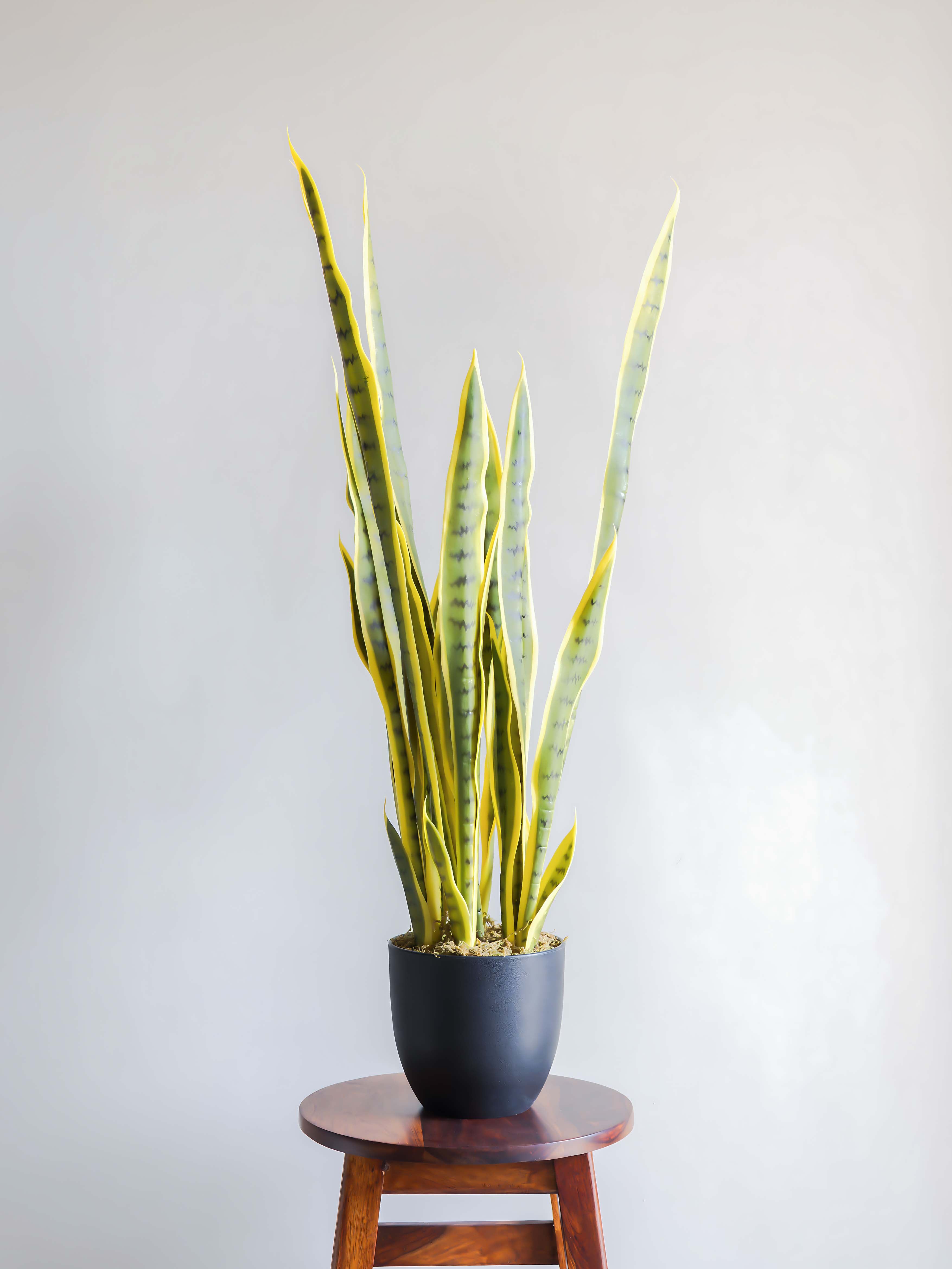 Artificial Snake Plant 2.9ft
