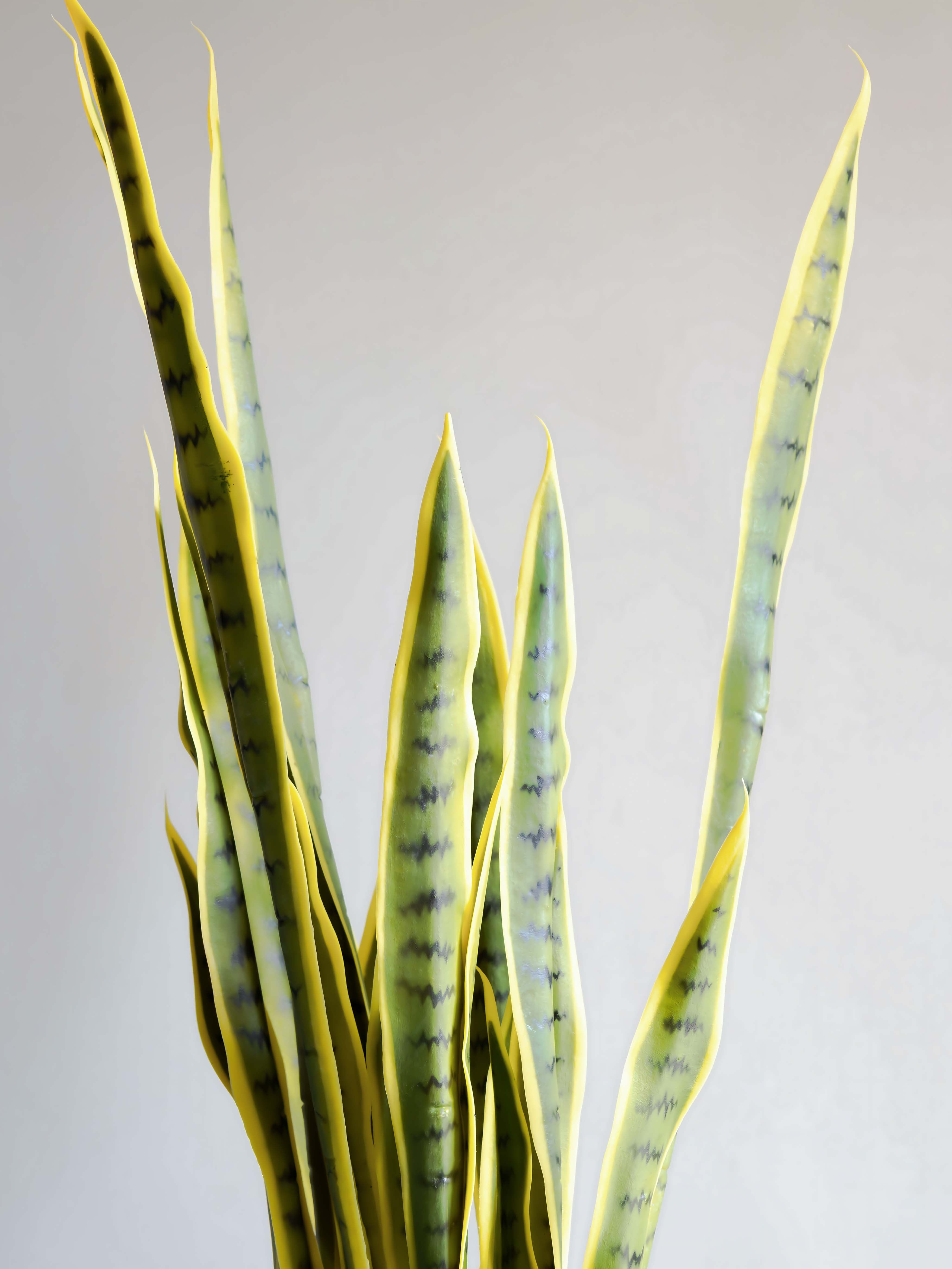 Artificial Snake Plant 2.9ft