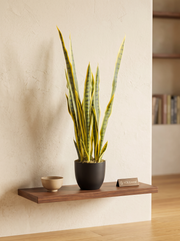 Artificial Snake Plant 2.9ft
