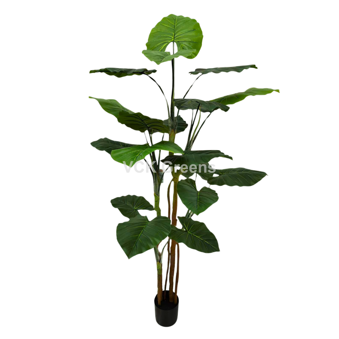 Artificial Evergreen Leaf Plant 6ft With Pot