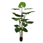 Artificial Evergreen Leaf Plant 6ft With Pot