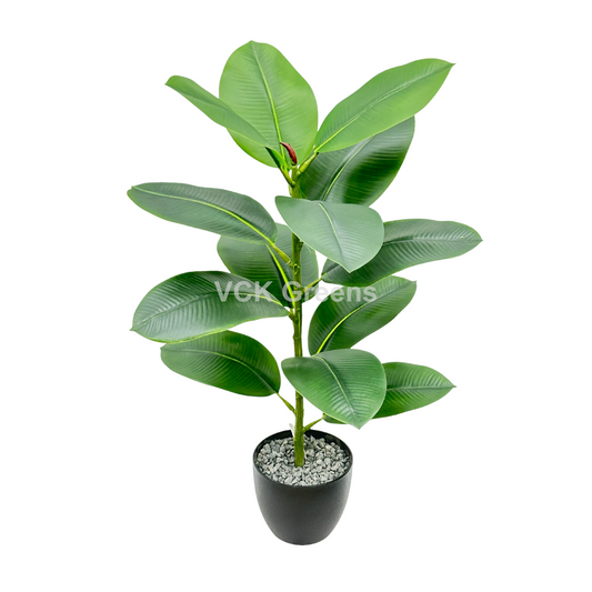 Artificial Rubber Plant 2.2ft With Pot