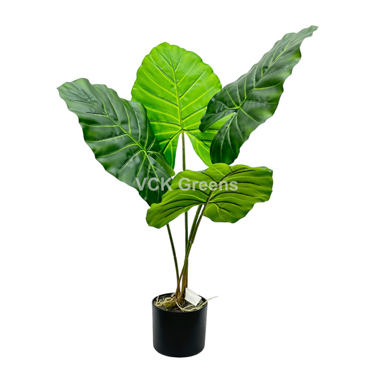 Artificial Evergreen Leaf Plant 2.7ft With Pot