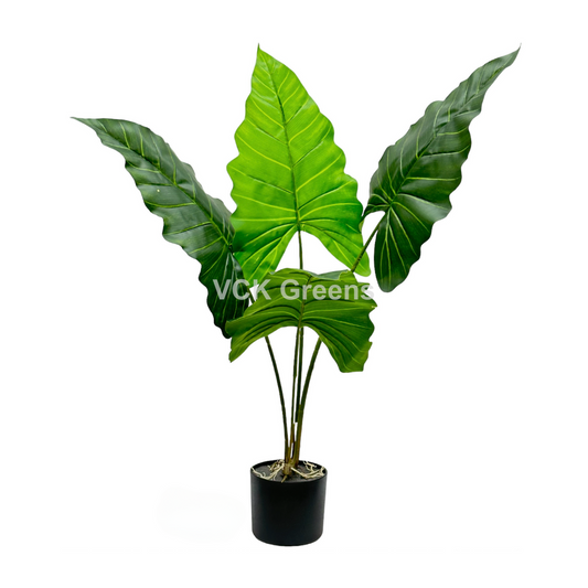 Artificial Green Caladium Leaf Plant 2.7ft With Pot