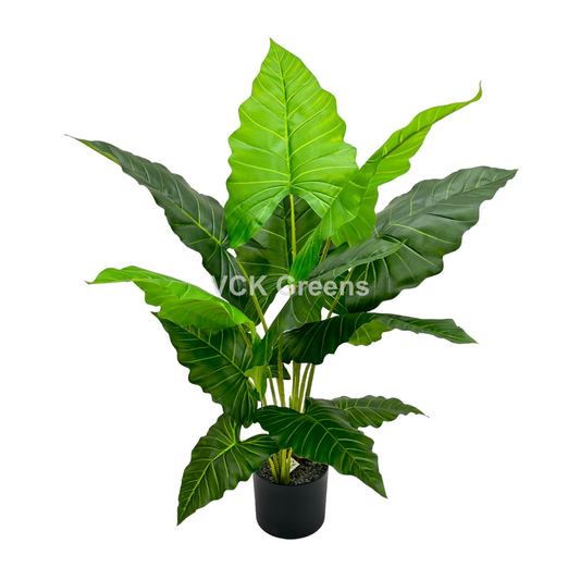 Artificial Green Caladium Leaf Plant 3.5ft With Pot