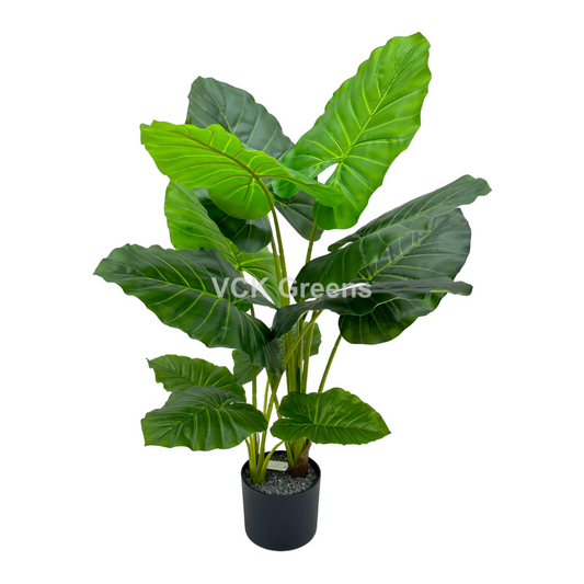 Artificial Evergreen Leaf Plant 3.5ft With Pot