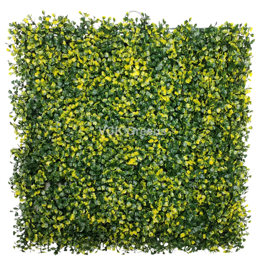 Artificial Boxwood Hedge Yellow Vertical Panel (50cm X 50cm,2.6sqft)