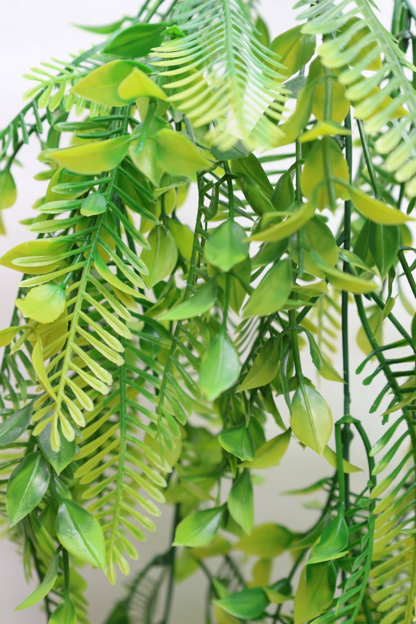 Artificial Fern Hanging Creepers 2.5ft