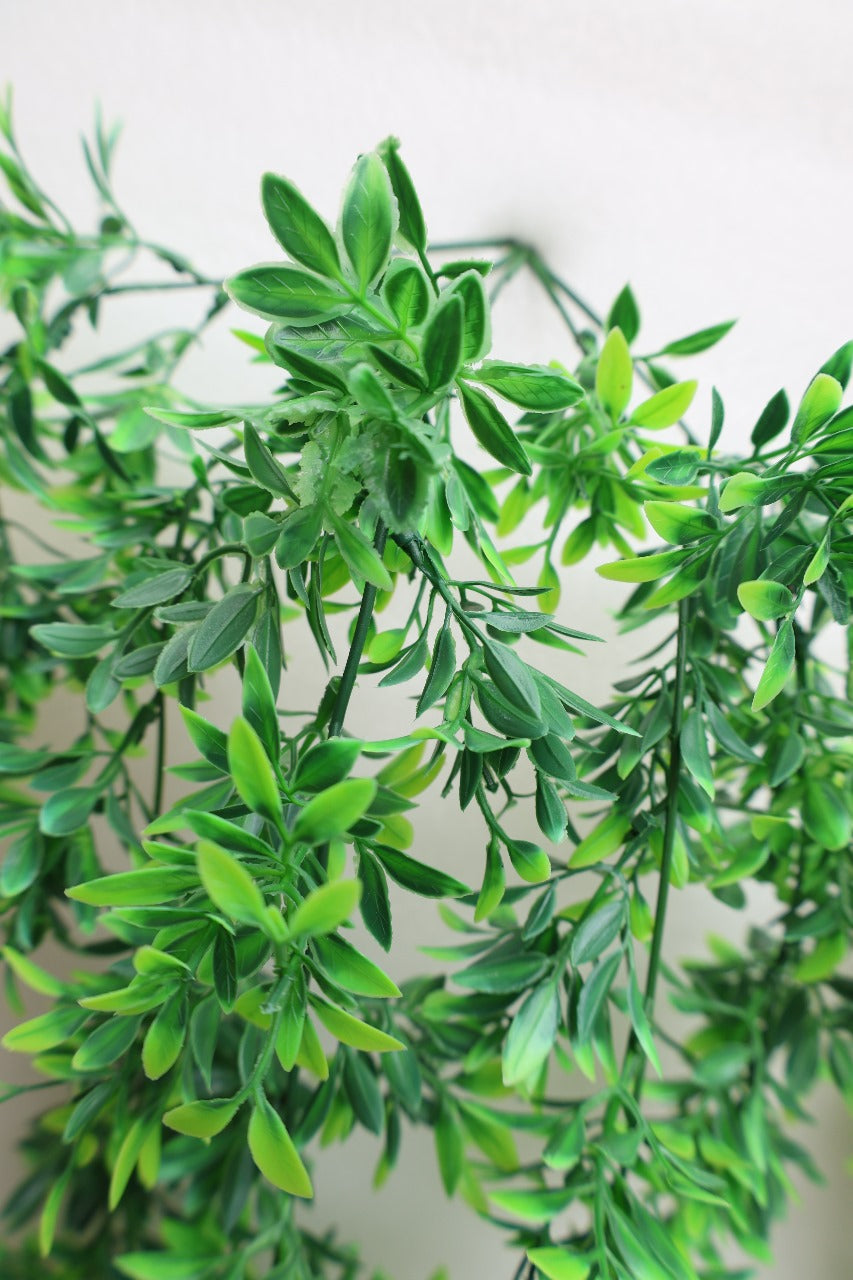 Artificial Green Hanging Creepers 2.5ft