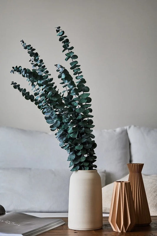 Preserved Eucalyptus Stem (Pack of 10pc)