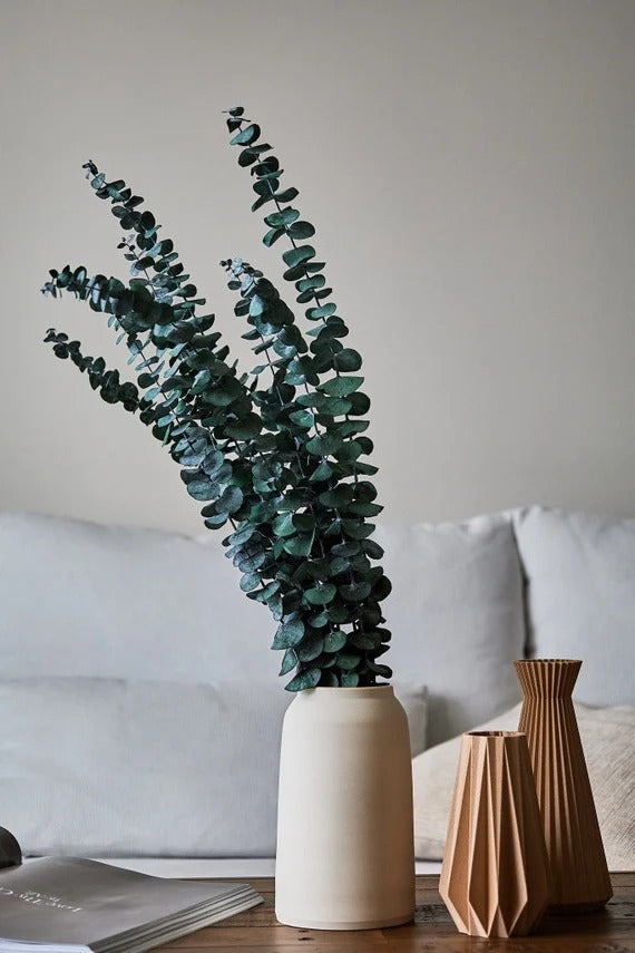 Preserved Eucalyptus Stem (Pack of 10pc)