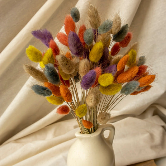 Preserved Bunny Tails Flower Bunch