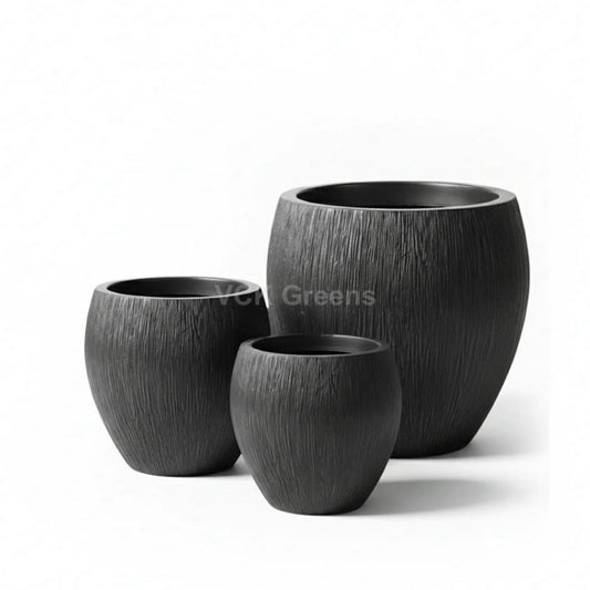 Dominican Planter