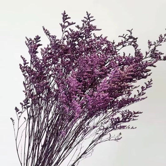 Preserved Dried Limonium Stick Bunch