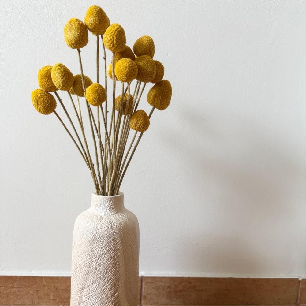 Dried Craspedia Bunch