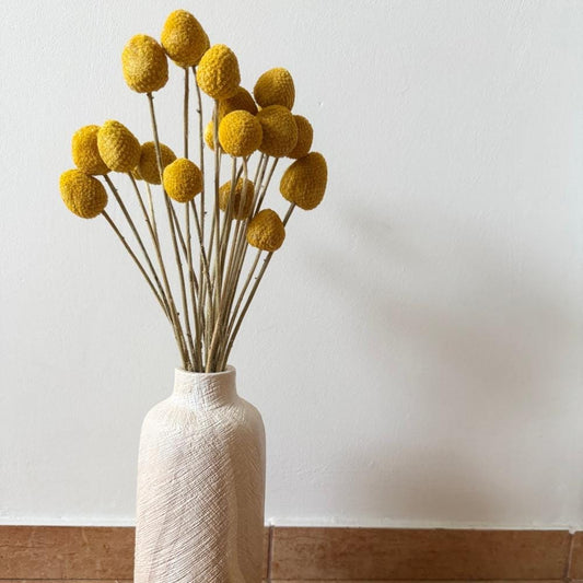 Dried Craspedia Bunch