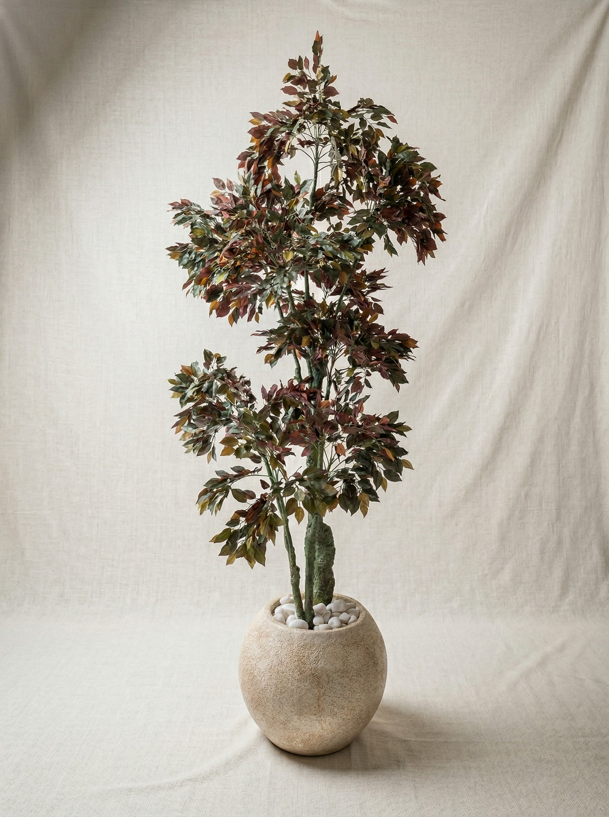 Artificial Ficus Tree 6.5ft