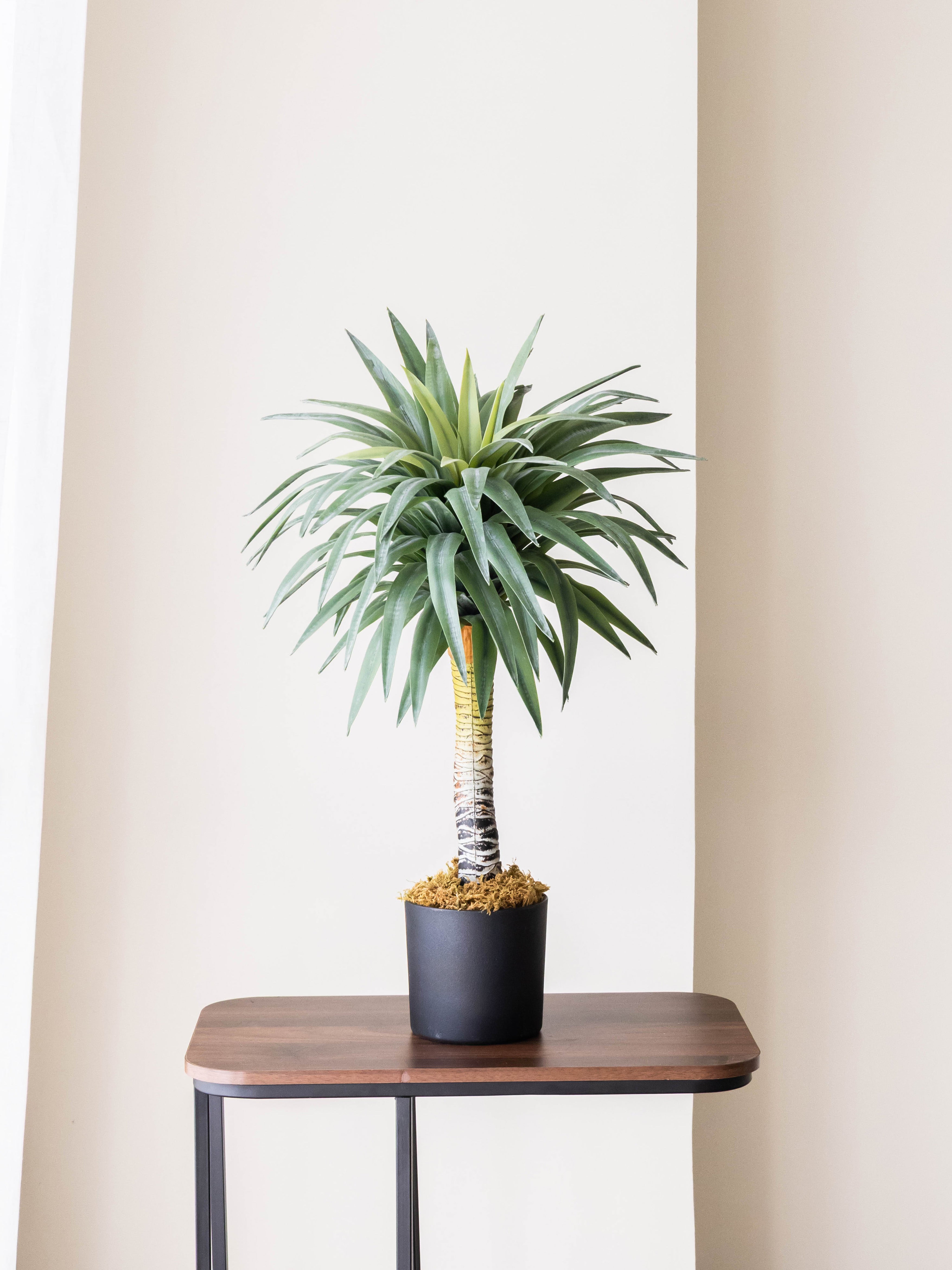 Artificial Real Touch Yucca Plant 2.3ft